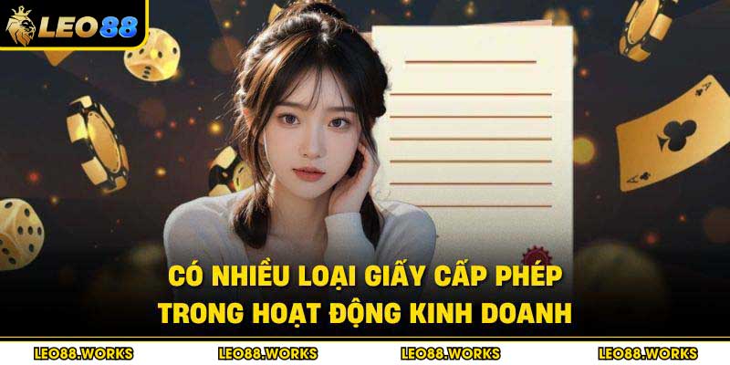 Có nhiều loại giấy cấp phép trong hoạt động kinh doanh